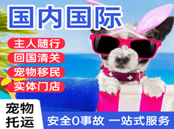 鞍山腾鳌航空邮寄国际宠物托运 【国